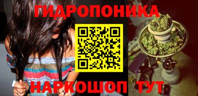 ПСИЛОЦИБИНОВЫЕ ГРИБЫ Обнинск
